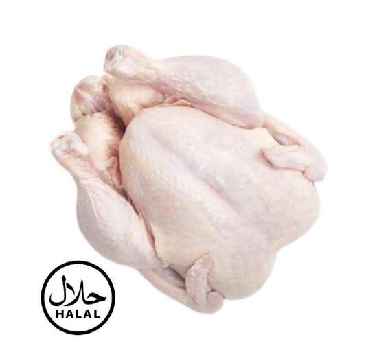 Grain-Fed Whole Chicken 1.3 -1.5kg [Halal]